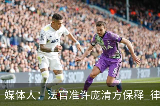 媒体人：法官准许庞清方保释 律师正为其恢复留学生身份