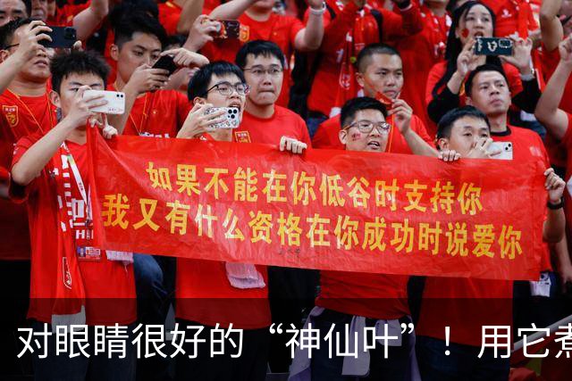 对眼睛很好的“神仙叶”！用它煮水喝，肺也润了，肝也养了，人都显年轻~