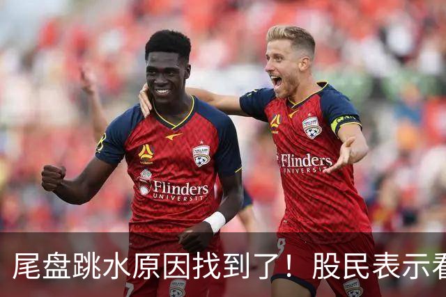 尾盘跳水原因找到了！股民表示看不懂，三季报出炉机构还是重仓科技