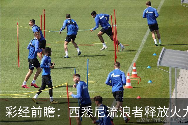 彩经前瞻：西悉尼流浪者释放火力，麦克阿瑟FC能否守住主场节奏