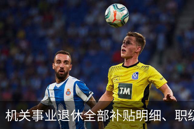 机关事业退休全部补贴明细、职级、年龄、标准一次性讲清楚
