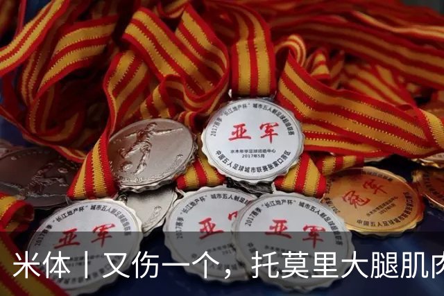 米体丨又伤一个，托莫里大腿肌肉受伤