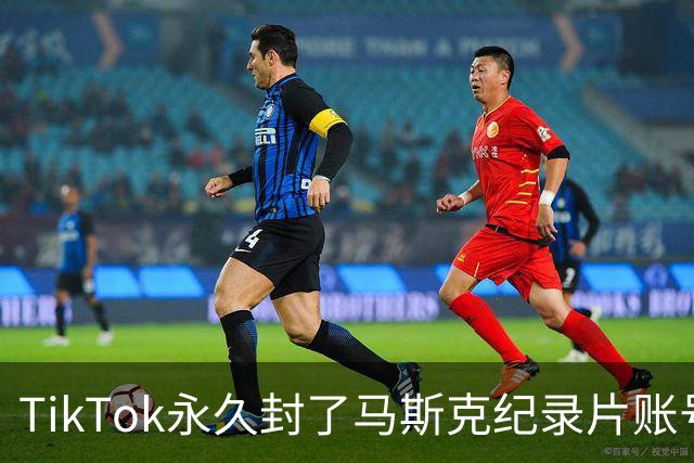 TikTok永久封了马斯克纪录片账号，宣传团队正全力申诉